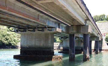 サムネール画像